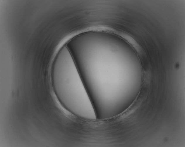 X0000093381046200710111343