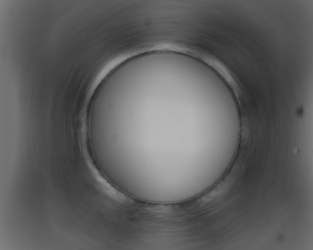 X0000093381048200710111343