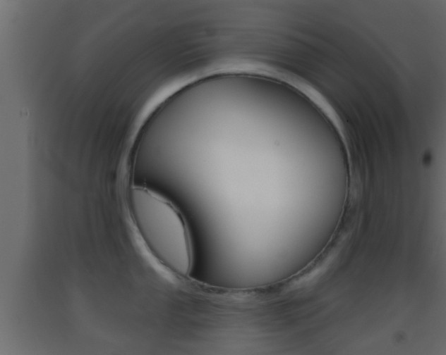 X0000093381053200710111343