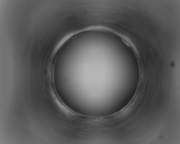 X0000093381054200710111343