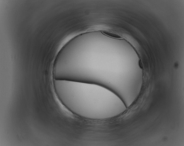 X0000093381055200710111343