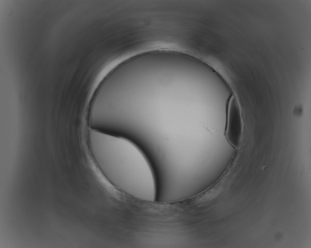 X0000093381056200710111343