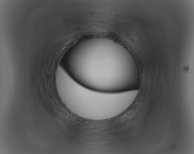 X0000093381057200710111343