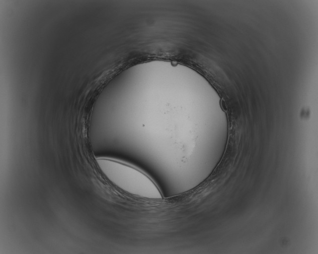 X0000093381058200710111343
