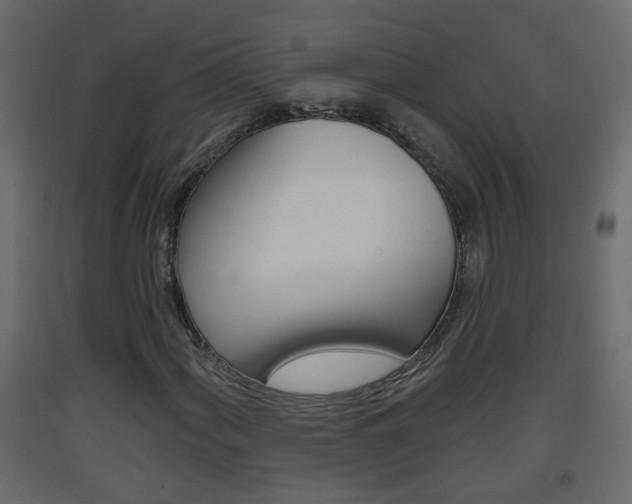 X0000093381060200710111343