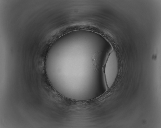 X0000093381062200710111343