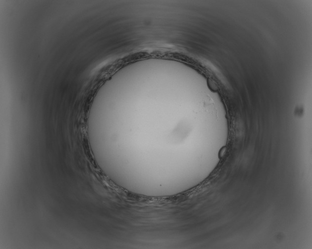 X0000093381063200710111343