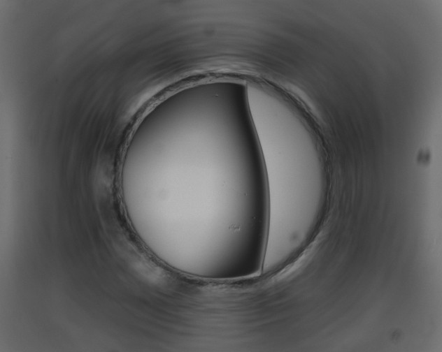 X0000093381065200710111343