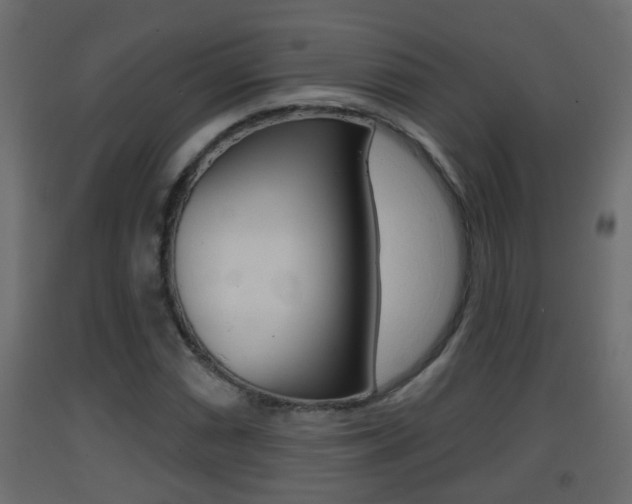 X0000093381066200710111343