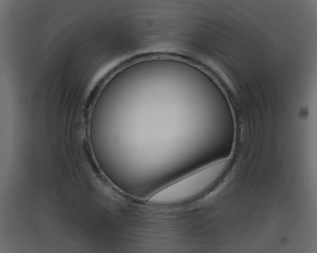 X0000093381069200710111343
