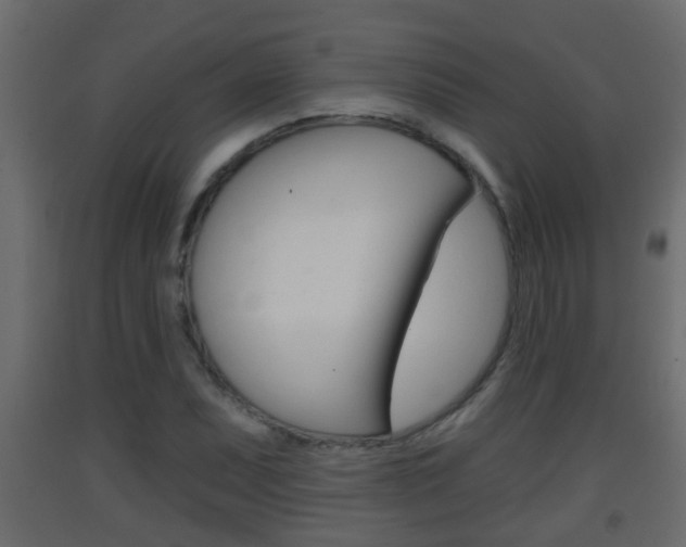 X0000093381071200710111343