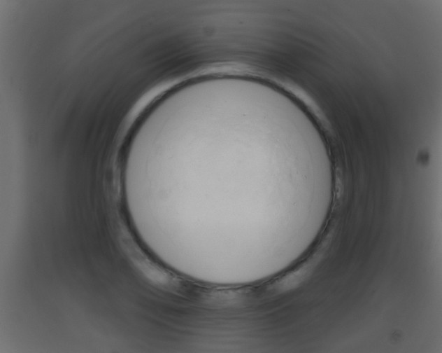 X0000093381078200710111343