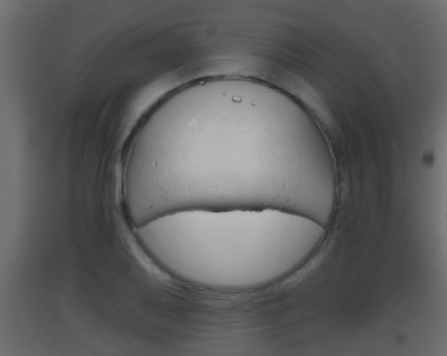 X0000093381079200710111343