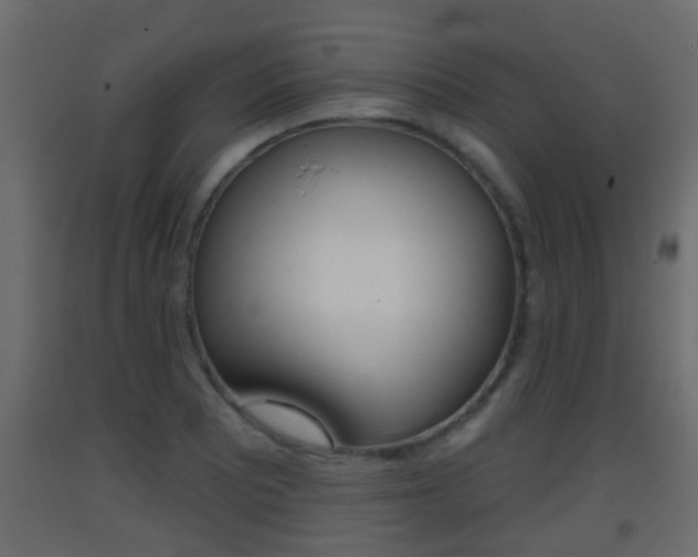 X0000093381081200710111343
