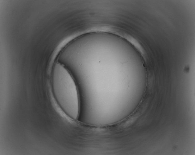 X0000093381088200710111342