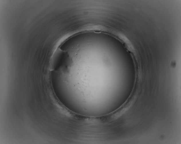 X0000093381089200710111342