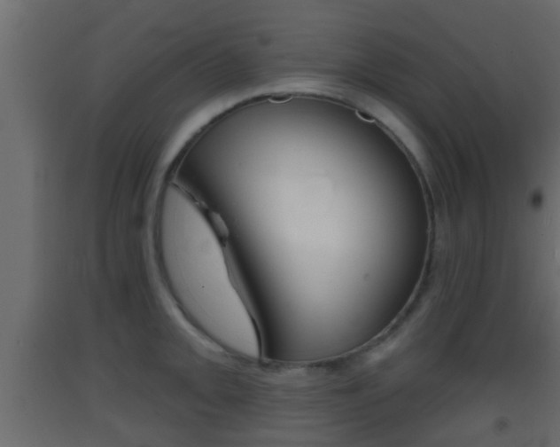 X0000093381093200710111342