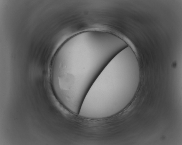 X0000093381099200710111342