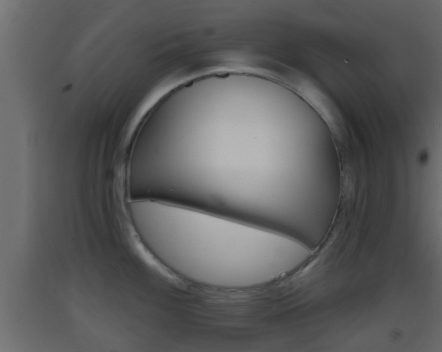 X0000093381100200710111342
