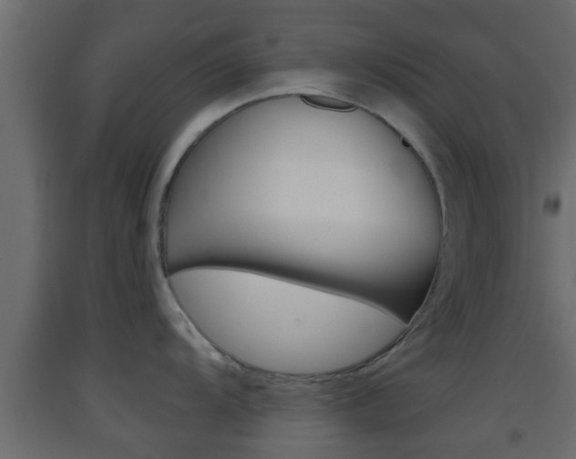 X0000093381104200710111342