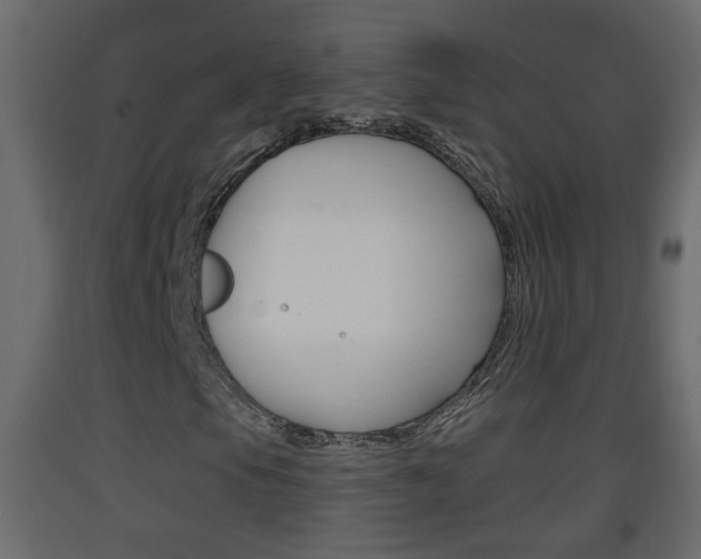 X0000093381105200710111342