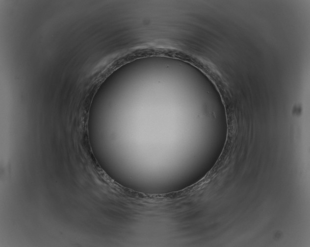 X0000093381110200710111342