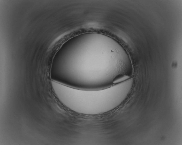 X0000093381112200710111342