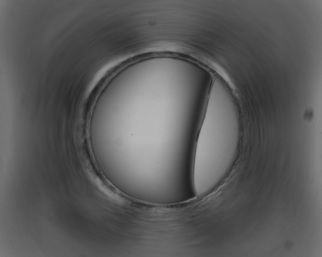 X0000093381116200710111342