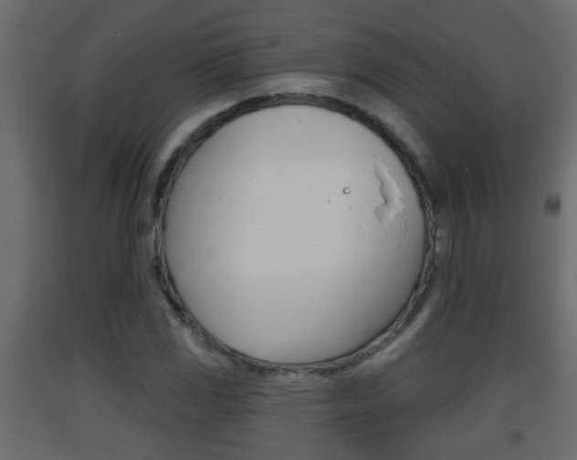 X0000093381117200710111342