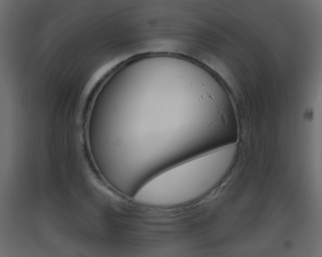 X0000093381120200710111342