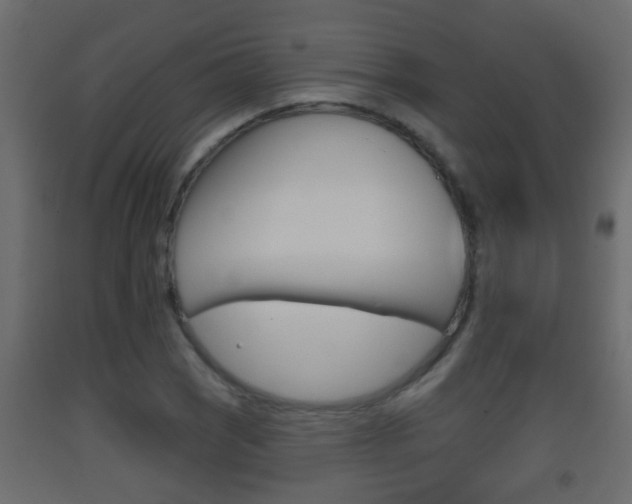 X0000093381121200710111342