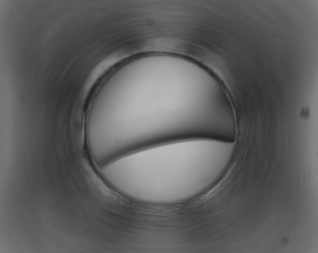 X0000093381123200710111342