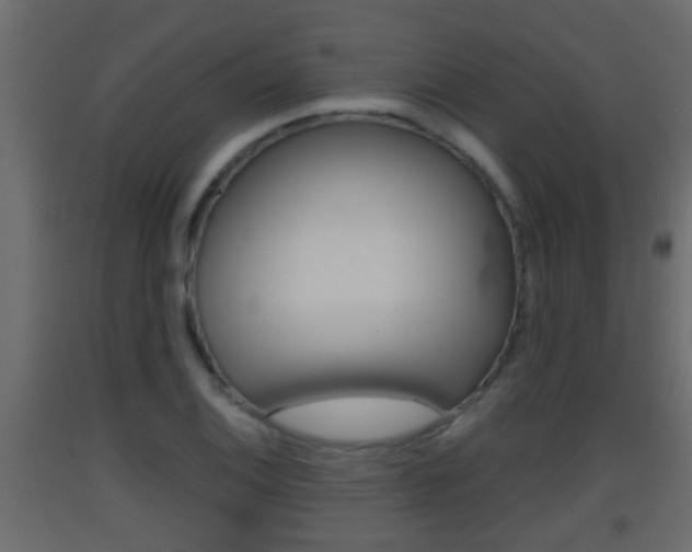 X0000093381124200710111342