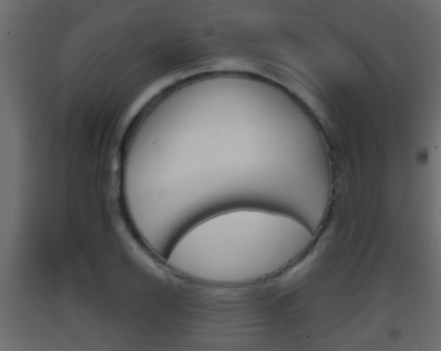 X0000093381126200710111342