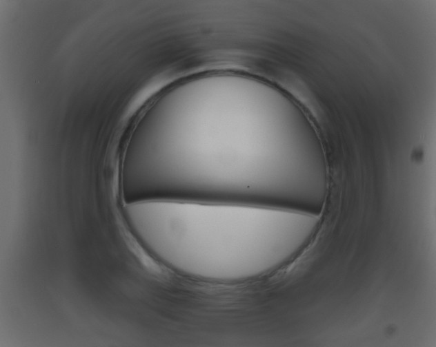 X0000093381127200710111342