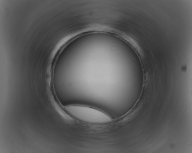 X0000093381128200710111342