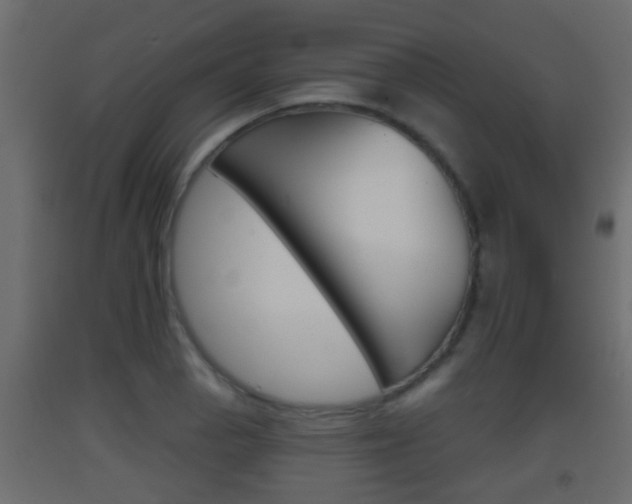 X0000093381129200710111342