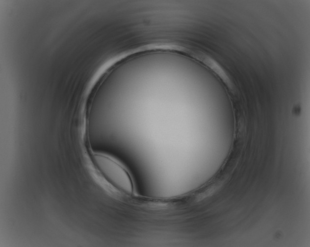X0000093381132200710111342