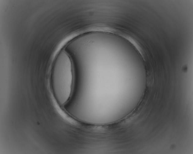 X0000093381139200710111342