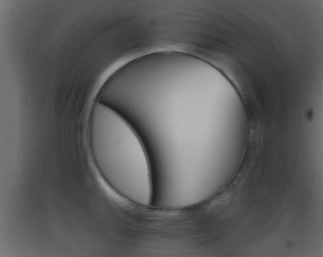 X0000093381143200710111342
