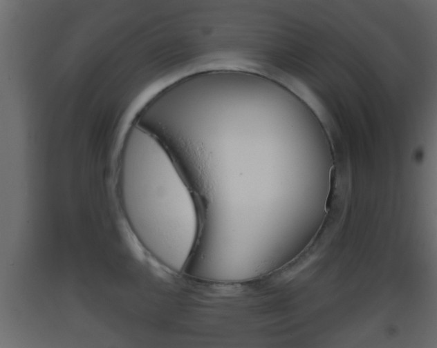 X0000093381144200710111342