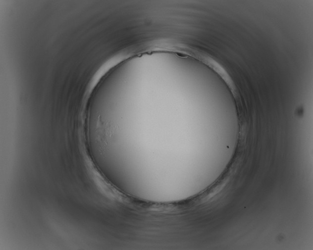X0000093381146200710111342