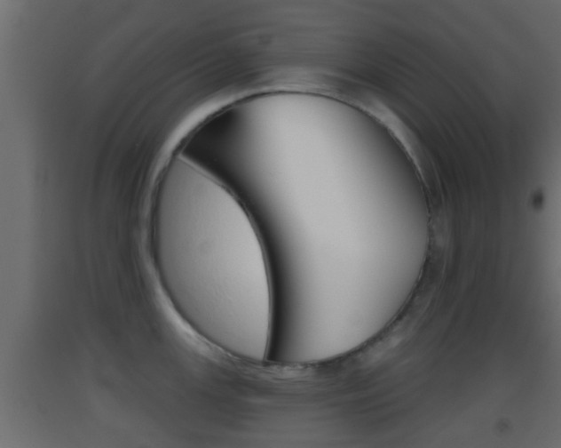 X0000093381147200710111342
