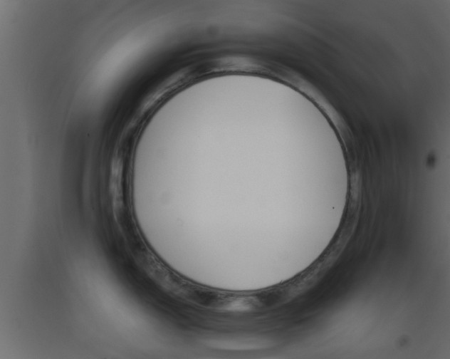 X0000093381150200710111342
