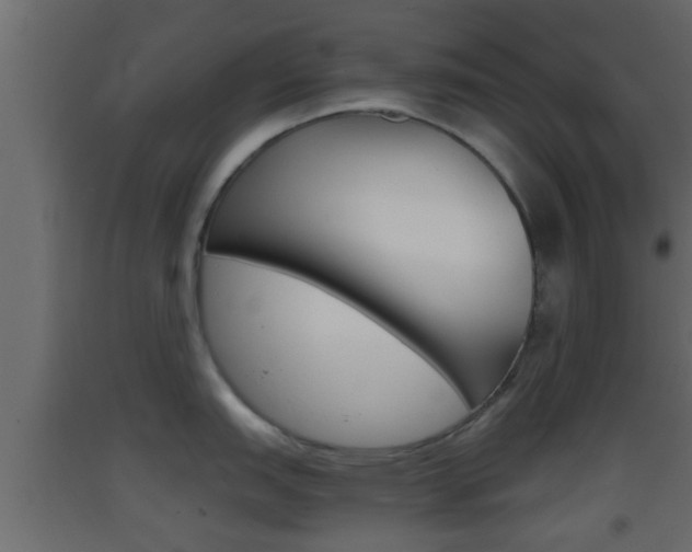 X0000093381151200710111342