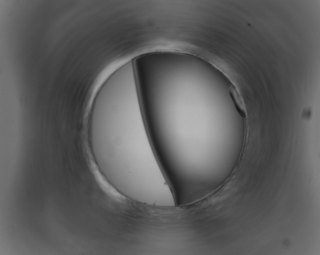 X0000093381152200710111342