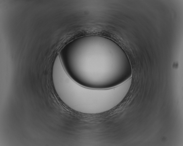 X0000093381153200710111342