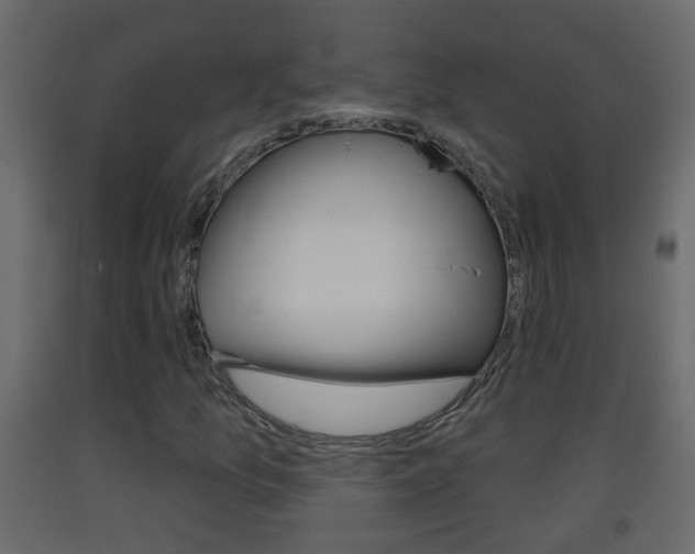 X0000093381157200710111342