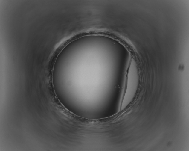X0000093381160200710111342