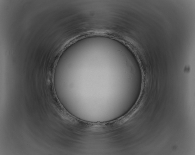 X0000093381161200710111342